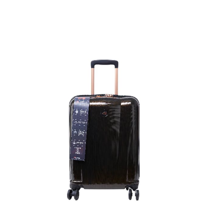 Valise rigide Platinel 3.0 55 cm Brown